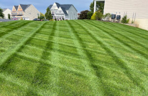 Professional fertilization and nutrient application by Fairways Lawn Care in West Chester PA.
