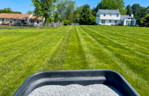 Round 5: Fertilizer and Broad Leaf Weed Control 