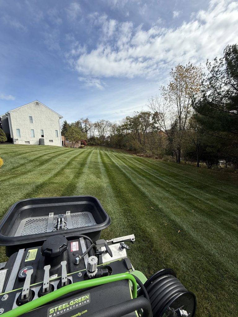 What Our Fertilization & Weed Control Program Has to Offer