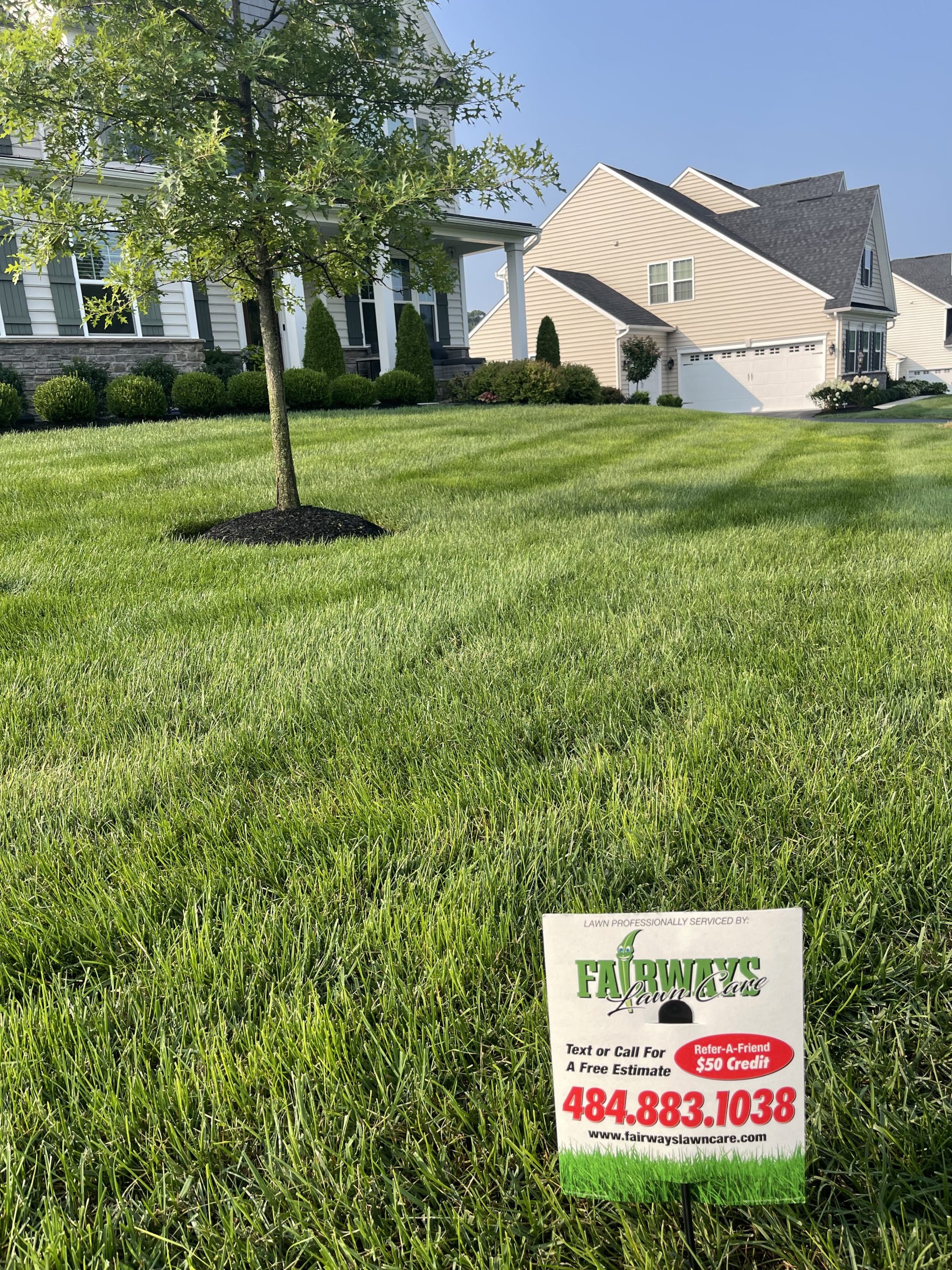 Weed Control / Fertilization